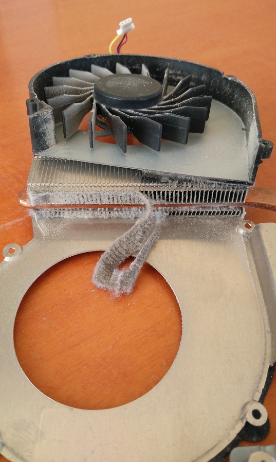 HP 630 dust sponge thickness a year after the first cleaning.